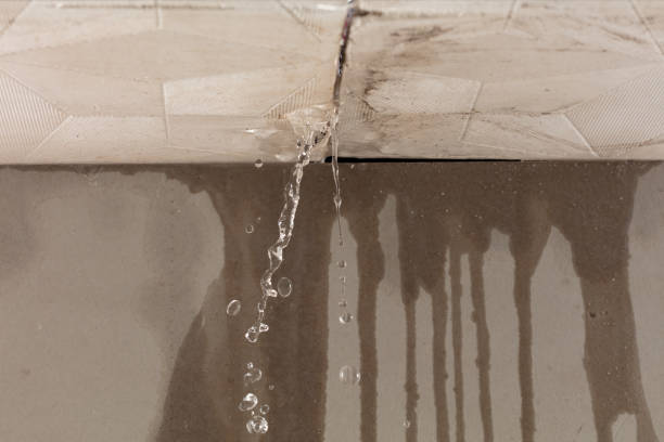 Professional Sewage Cleanup technician working in Chicopee, MA